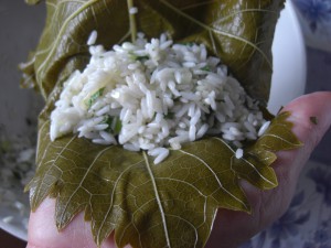 dolmades-plneni1.jpg